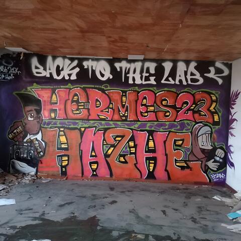 Back to the lab
