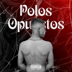 POLOS OPUESTOS