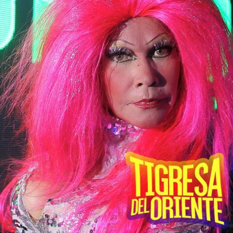 Barata y Techera