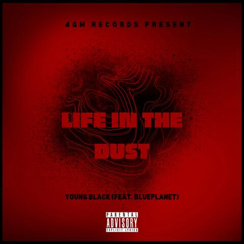 Life In The Dust