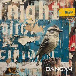 Night Flight