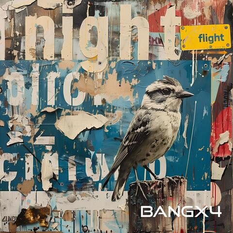 Night Flight
