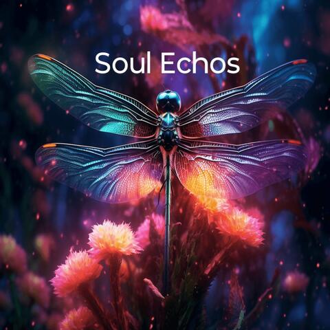 Soul Echos