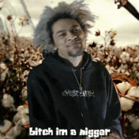Bitch I'm A nigger