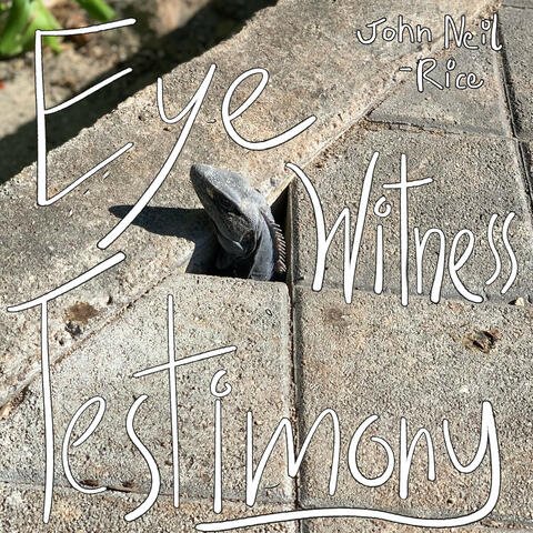 Eye Witness Testimony