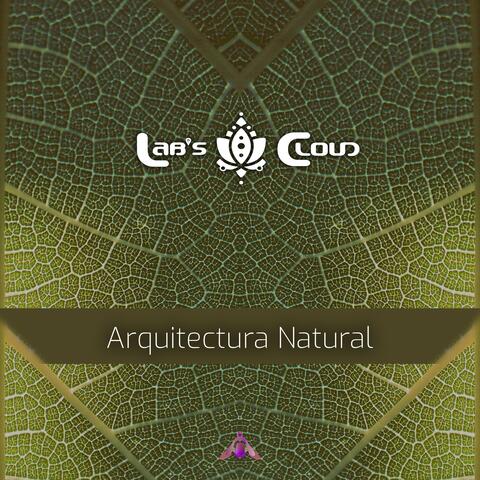 Arquitectura Natural