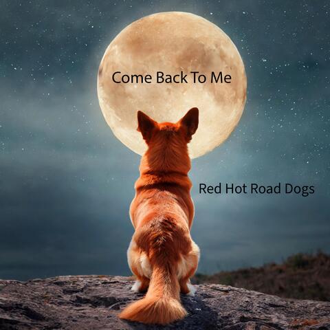 Come Back To Me
