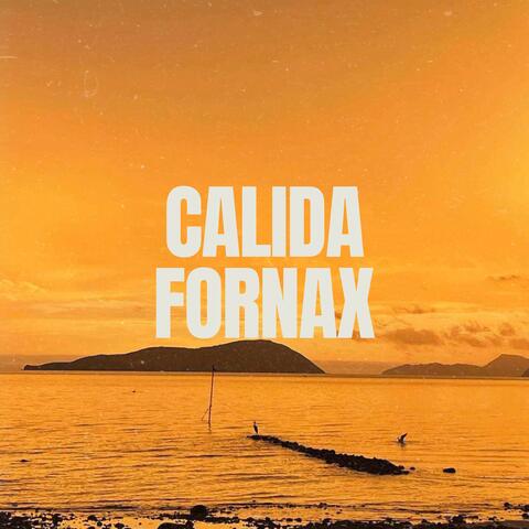 Calida Fornax