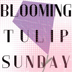 Blooming Tulip Sunday