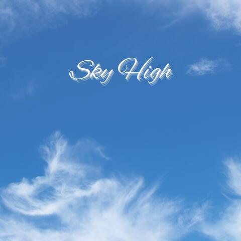 Sky High