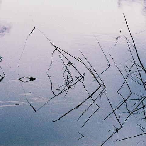 Reflections