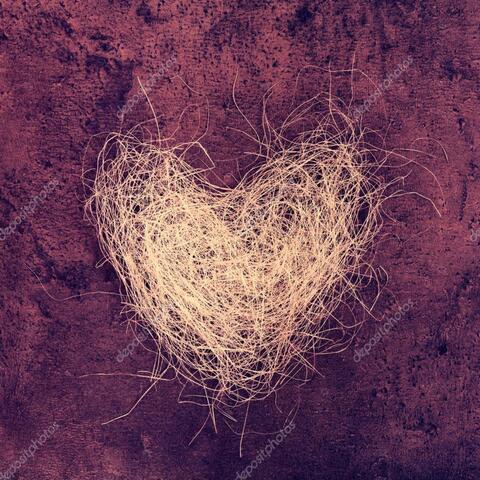 Hay