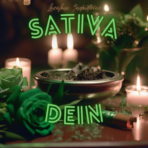 Sativa