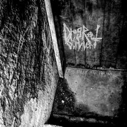 Raw Sewage (Digging Keys From Toilets)