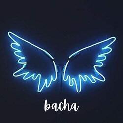 bacha