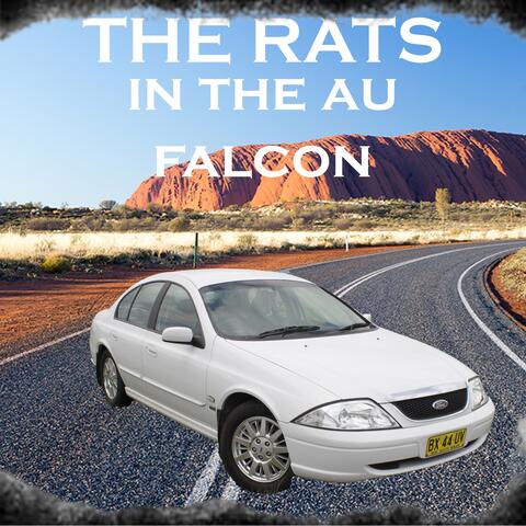 In The Au Falcon