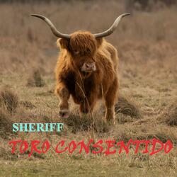 Toro Consentido