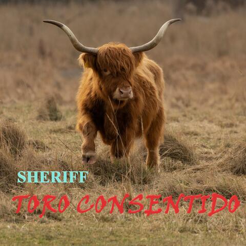 Toro Consentido