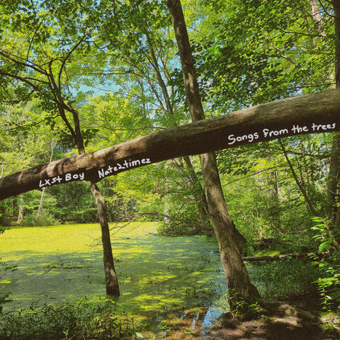 songs from the trees