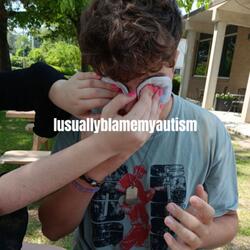 Iusuallyblamemyautism
