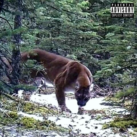 Hunter Mixtape