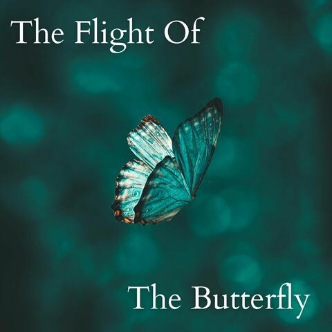 The flight of the butterfly