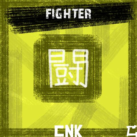 Fighter