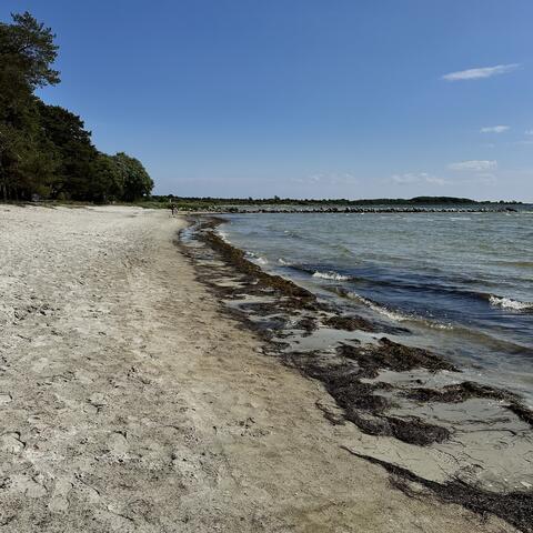 0 dagar