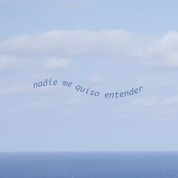 Nadie me quiso entender