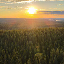 Kesä on taas