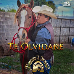 Te olvidare