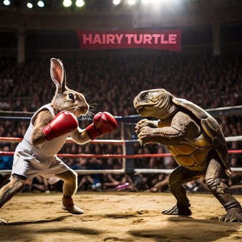 HAIRY TURTLE