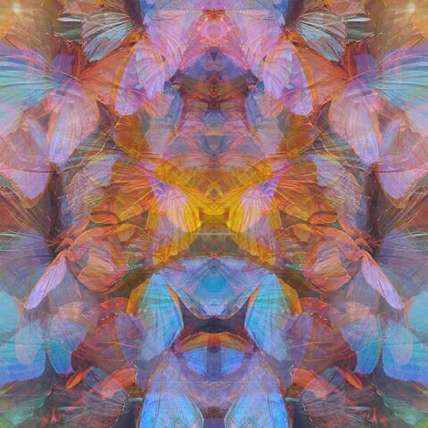 Look At The Patterns