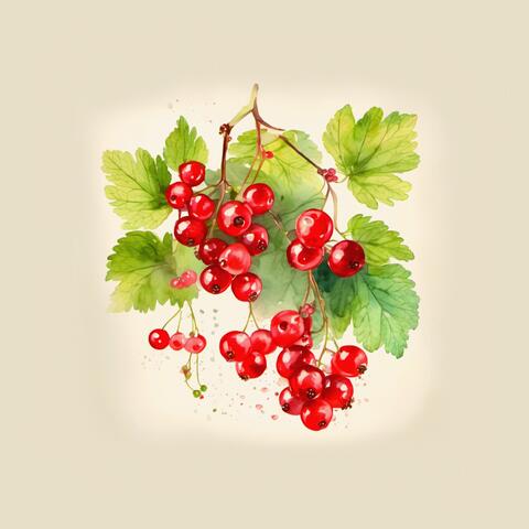 Red Currants