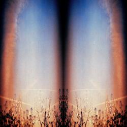 Filament
