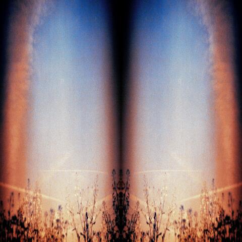 Filament