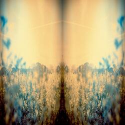 Escaping Memories