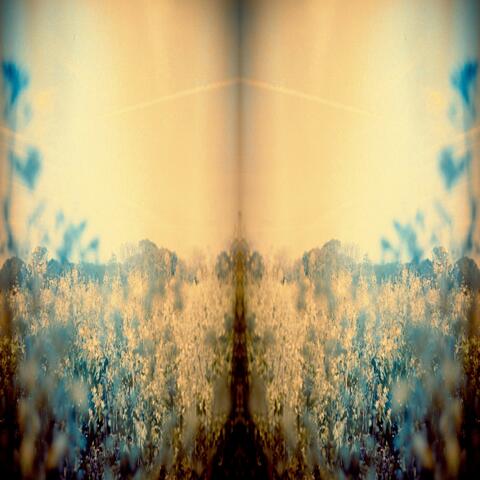 Escaping Memories