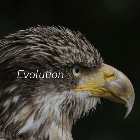 Evolution