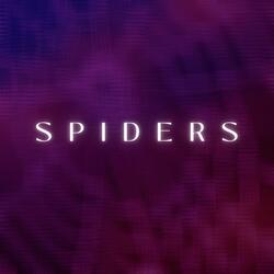 Spiders