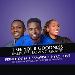 I SEE YOUR GOODNESS (MERCIES, LOVING GRACE)
