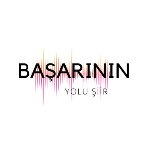 Başarının Yolu Şiir