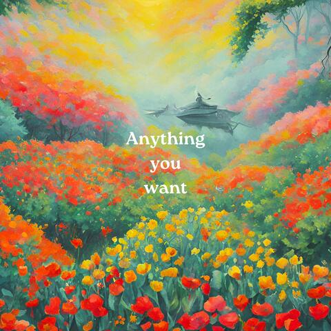 Anything You Want