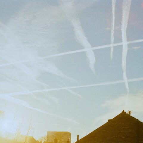 Murmuration