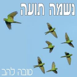 נשמה תועה