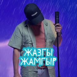 Жазгы жамгыр