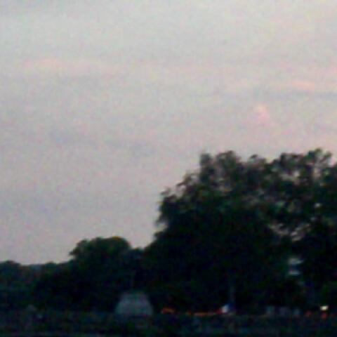 thoughts from a dysfunctional head