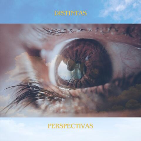Distintas perspectivas