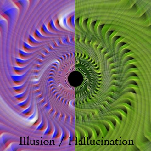Illusion / Hallucination