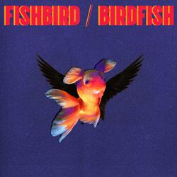 Fishbird / Birdfish